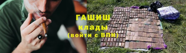 тгк Дмитриев