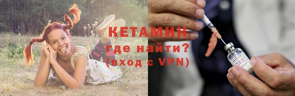 тгк Дмитриев