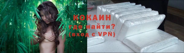 сатива Дмитров