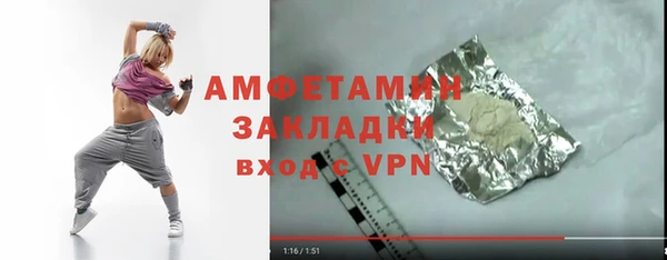 тгк Дмитриев