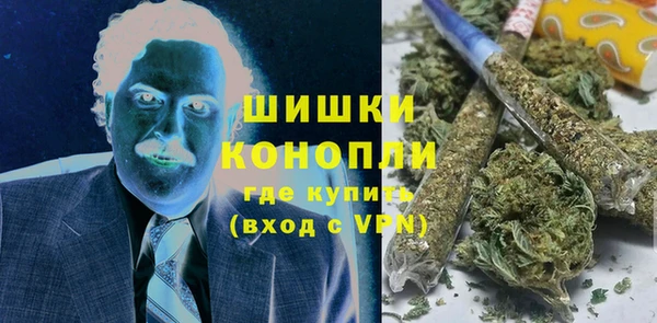 тгк Дмитриев