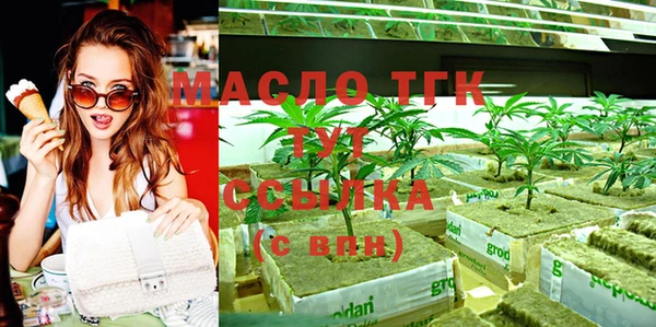тгк Дмитриев