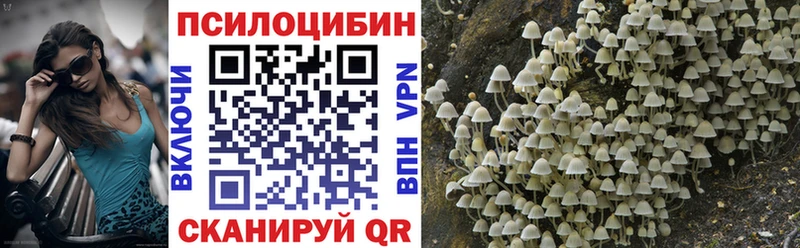 Псилоцибиновые грибы мухоморы  Канск 